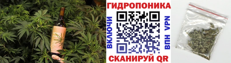 купить наркоту  Котово  Еда ТГК конопля 