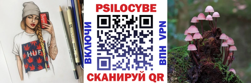 Галлюциногенные грибы Psilocybe  где можно купить наркотик  Котово 