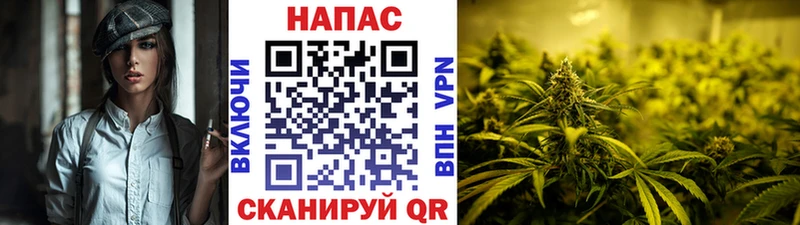 магазин продажи Котово Канабис планчик